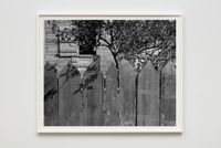 Picket Fence, Tree, and Cabin by Dawoud Bey contemporary artwork sculpture, photography