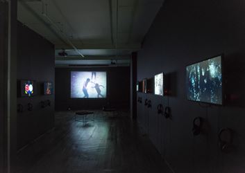 Exhibition view, Cao Guimarães, 2016, Galeria Nara Roesler, New York. Photo: Adam Reich © Galeria Nara Roesler.