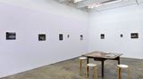 Contemporary art exhibition, Janice Nowinski, Recent Paintings at Thomas Erben Gallery, New York, USA