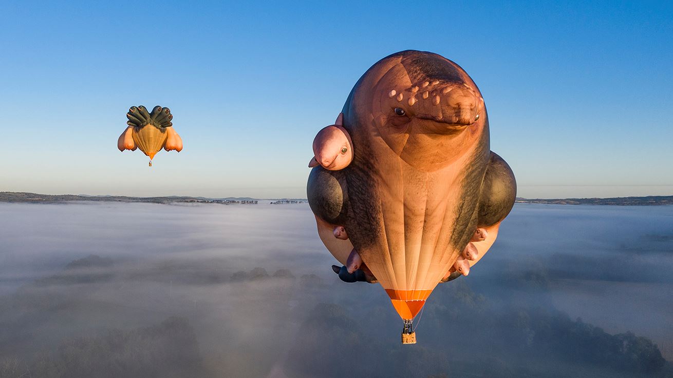 Patricia Piccinini's Skywhalepapa to Fly Over Melbourne | Ocula