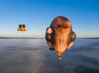 Patricia Piccinini’s Skywhalepapa to Fly Over Melbourne