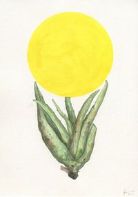 Aloe and Yellow by Zina Swanson contemporary artwork works on paper