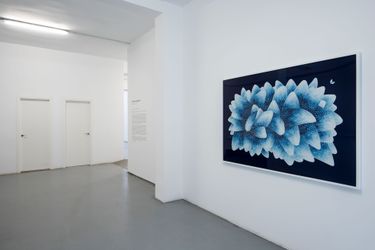 Exhibition view: Timothy Hyunsoo Lee, SanToki Tokiya, Sabrina Amrani, Madrid (18 November 2023–20 January 2024). Courtesy Sabrina Amrani.