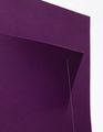 Work on Felt (Variation 26) Purple by Naama Tsabar contemporary artwork 4