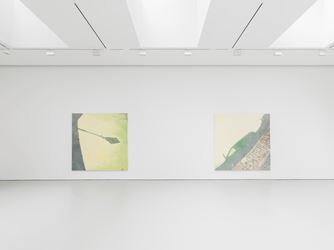 Exhibition view: Luc Tuymans, Le Mépris, David Zwirner, 19th Street, New York (5 May–25 June 2016). Courtesy David Zwirner, 19th Street, New York.