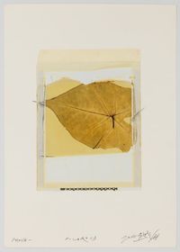 Botanical Specimen by Paolo Gioli contemporary artwork photography, drawing