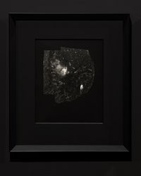 Hatch 2 (Process Study) by Joyce Campbell contemporary artwork photography