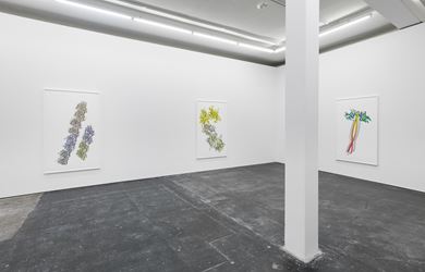 Exhibition view: Ran Zhang, Enantiomers and traces, Galeria Plan B, Berlin (9 September–24 October 2020). Courtesy Galeria Plan B.