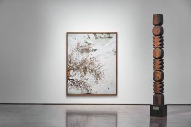 Exhibition view: Group Exhibition, Forêt, Arario Gallery Cheonan (25 May–17 July 2021). Courtesy Arario Gallery.