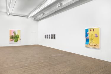 Exhibition view: Annette Kelm, Present Past Perfect, Andrew Kreps Gallery, 55 Walker Street, New York (24 February–25 March 2023). Courtesy Andrew Kreps Gallery. Photo: Lance Brewer.