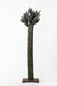 Dracaena Draco by Ion Bitzan contemporary artwork works on paper, sculpture