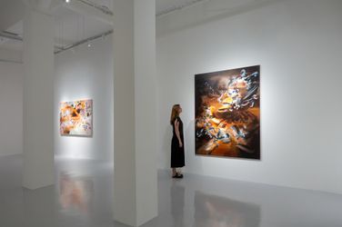Exhibition view: Grace Wright, Deep Symmetry, Yavuz Gallery, Singapore (15 April–28 May 2023). Courtesy Yavuz Gallery