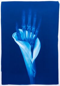 Blue Bone No. 35 by Hu Weiyi contemporary artwork print