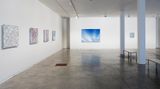 Contemporary art exhibition, Elizabeth Thomson, Transitive States at Two Rooms, Auckland, New Zealand