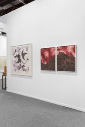 Sabrina Amrani Gallery, ARCOLisboa (16–19 May 2019). Courtesy Sabrina Amrani Gallery.