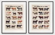 Les Animaux de la ferme by Marcel Broodthaers contemporary artwork 1