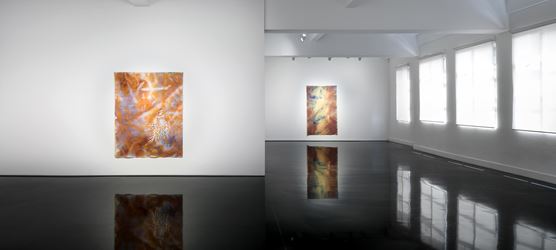 Judy Watson, indigo and ochre, 2016. Exhibition view, Tolarno Galleries. Image courtesy Tolarno Galleries, Melbourne.