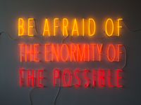 Be Afraid of the Enormity of the Possible by Alfredo Jaar contemporary artwork mixed media
