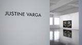 Contemporary art exhibition, Justine Varga, Tachisme at Tolarno Galleries, Melbourne, Australia