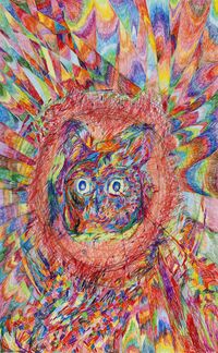 Phrenetic Rainbow Cat by Anastasia Klose contemporary artwork works on paper