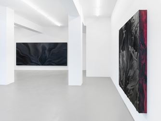 Exhibition view: Jason Martin, Vertigo, Buchmann Galerie, Berlin (28 September–3 November 2018). Courtesy Buchmann Galerie. 