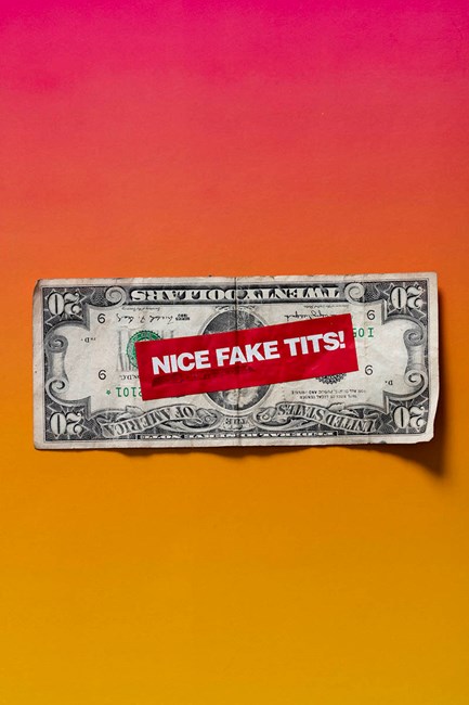 Nice Fake Tits by Judy Darragh contemporary artwork