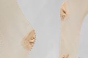 a pair of nylons by Hannah Gartside contemporary artwork 2