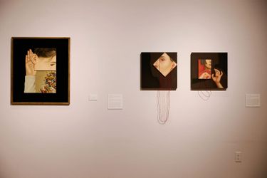 Contemporary art exhibition, Arghavan Khosravi, Newport Art Museum at Kavi Gupta, Washington Blvd, Chicago, United States