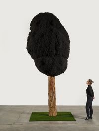 One tree per family by Henry Taylor contemporary artwork mixed media