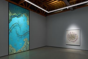 Exhibition view: Shahzia Sikander, Radiant Dissonance, Sean Kelly, Los Angeles (19 November 2022–7 January 2023). Courtesy Sean Kelly Gallery. Photo: Flying Studio.