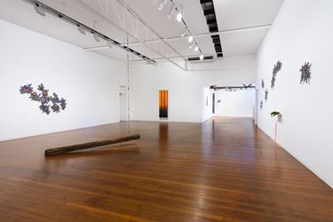 Exhibition view, Jim Lambie, Wild Is The Wind, Roslyn Oxley9 Gallery, Sydney (October 30 – November 23, 2019); Photo: Luis Power