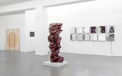 Exhibition view: Group Exhibition, Objects are closer than they appear, Buchmann Galerie, Berlin (30 June–2 September 2017). Courtesy Buchmann Galerie.