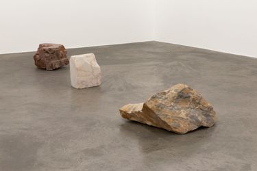 Exhibition view: Dorothy Cross, Veins of Other, Kerlin Gallery, Dublin (24 May–6 July 2024). Courtesy Kerlin Gallery.