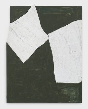 Sam Moyer | Artist Profile, Exhibitions & Artworks | Ocula