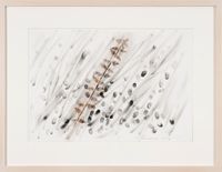 Foglie by Giuseppe Penone contemporary artwork painting, works on paper, drawing