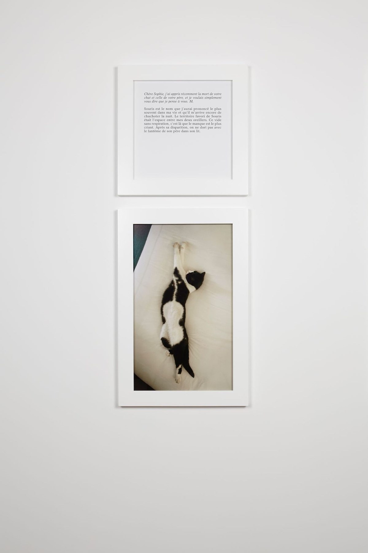 The ghost of Souris, 2017 by Sophie Calle | Ocula
