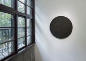 bacteria sign #43 by Hiraku Suzuki contemporary artwork 2