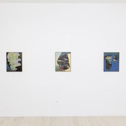 Exhibition view: Alice Wormald, Partly Altered Aperture, Gallery 9, Sydney (21 February–17 March 2018). Courtesy Gallery 9, Sydney. 