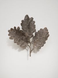 Oak Leaves IV by Kiki Smith contemporary artwork sculpture
