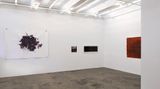 Contemporary art exhibition, Aditi Singh, All that is left behind at Thomas Erben Gallery, New York, USA