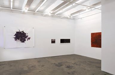 Exhibition view: Aditi Singh, All that is left behind, Thomas Erben Gallery, New York (7 January–13 February 2016). Courtesy Thomas Erben Gallery.
