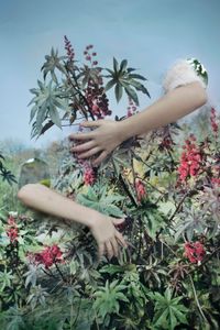 Camouflage by Vanja Bučan contemporary artwork photography, print