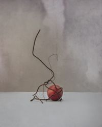 become a part of something_Stained Walls, Wire, and Balls by Seongyeon Jo contemporary artwork photography