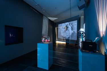 Exhibition view: Group Exhibition, FOAＭS: Auralization, Live Forever Foundation, Taichung (30 July–30 October 2022). Courtesy Live Forever Foundation. 