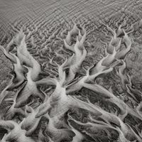 River Delta II, Iceland by Jeffrey Conley contemporary artwork photography