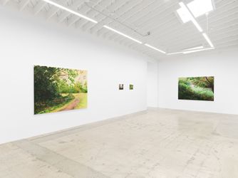 Exhibition view: Hannah Brown, Hollow Pond, Anat Ebgi, Los Angeles (8 March–20 April 2024). Courtesy Anat Ebgi, Los Angeles/New York.