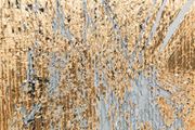 Luxury Dust (Gold) by Cheryl Donegan contemporary artwork 2