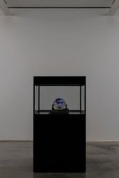Exhibition view: Mat Collishaw, The Machine Zone, Gary Tatintsian Gallery, New York (25 February–25 June 2022). Courtesy Gary Tatintsian Gallery.