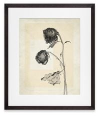flower.s.06 by Thomas Ruff contemporary artwork photography, print