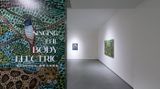 Contemporary art exhibition, Howard Fonda, Singing the Body Electric at Asia Art Center, Taipei, Taiwan
